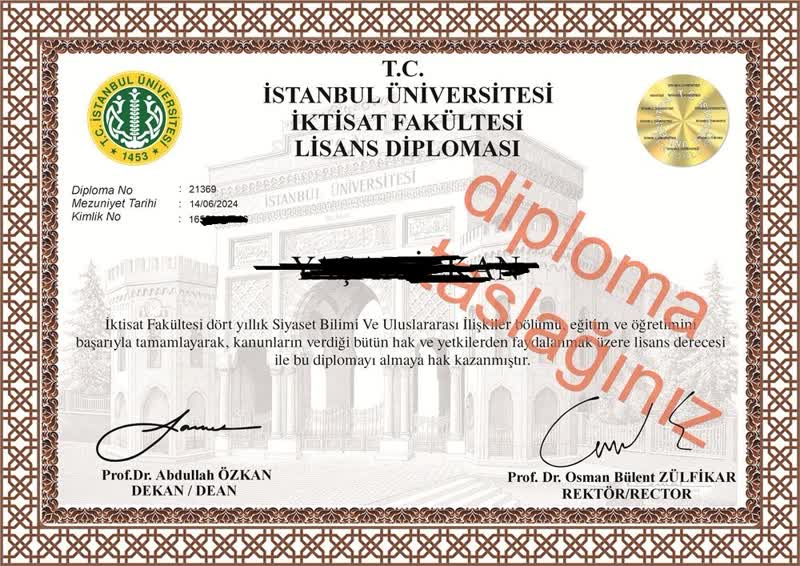 Diploma örneği 4